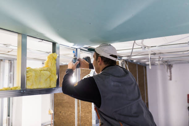 Best Commercial Insulation Services  in Franklin, NJ